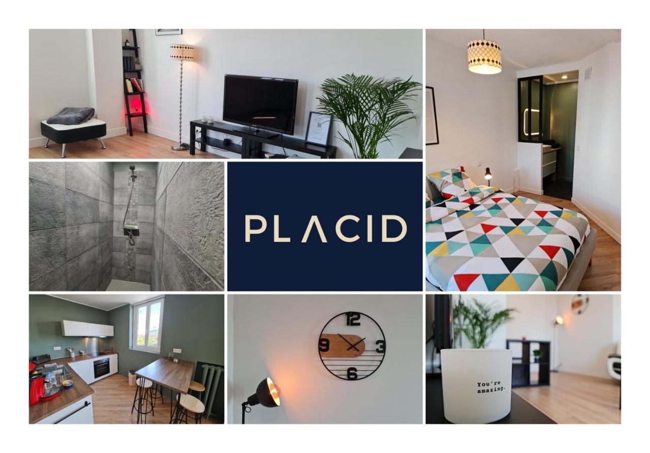 Le Scottmanhouse - Appartement Prive - Centre Ville - Gare - Wi-Fi Аррас Экстерьер фото